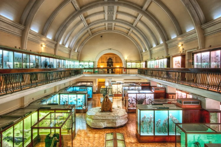 The Horniman Museum and Gardens