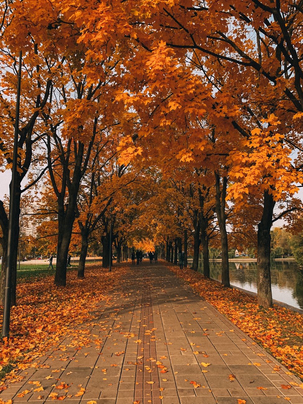 Londen in de herfst met rode en gouden bladeren in het park
