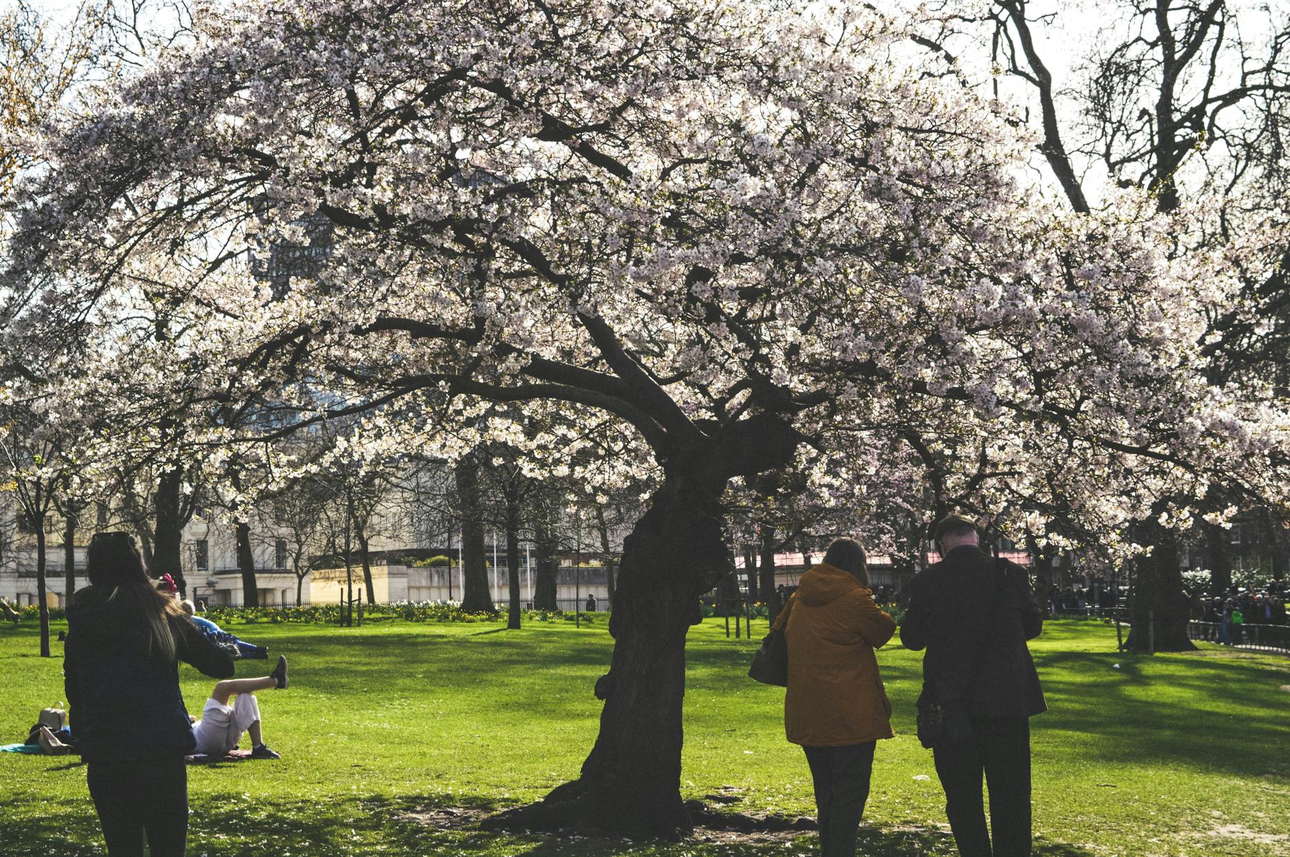 Londen in de lente met bloesems en mensen op straat
