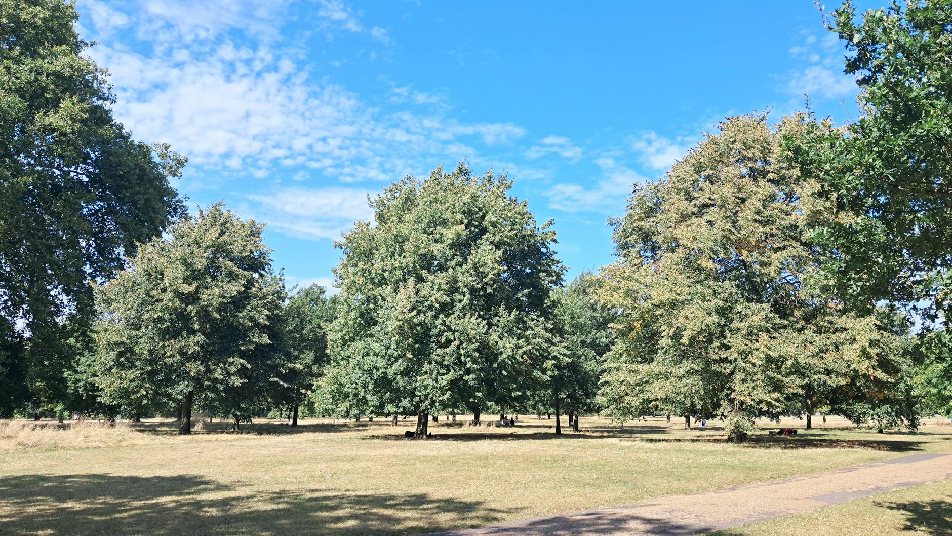 Regent's Park in de lente