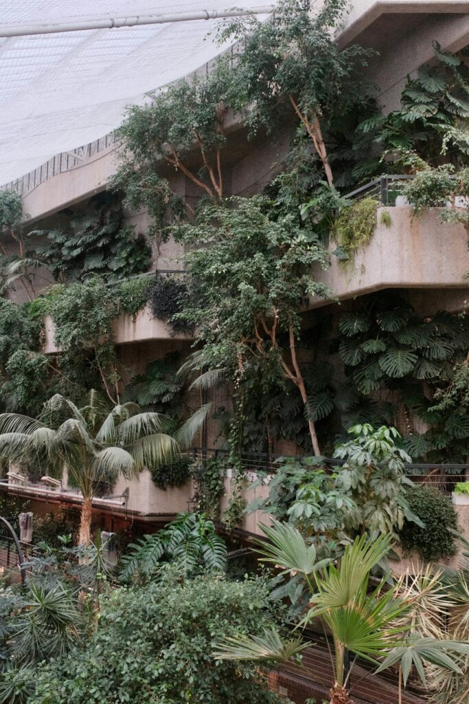 Weelderige planten op de betonnen terrassen van de Barbican Conservatory